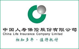 成功案例--中国人寿