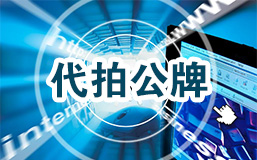 代拍公牌